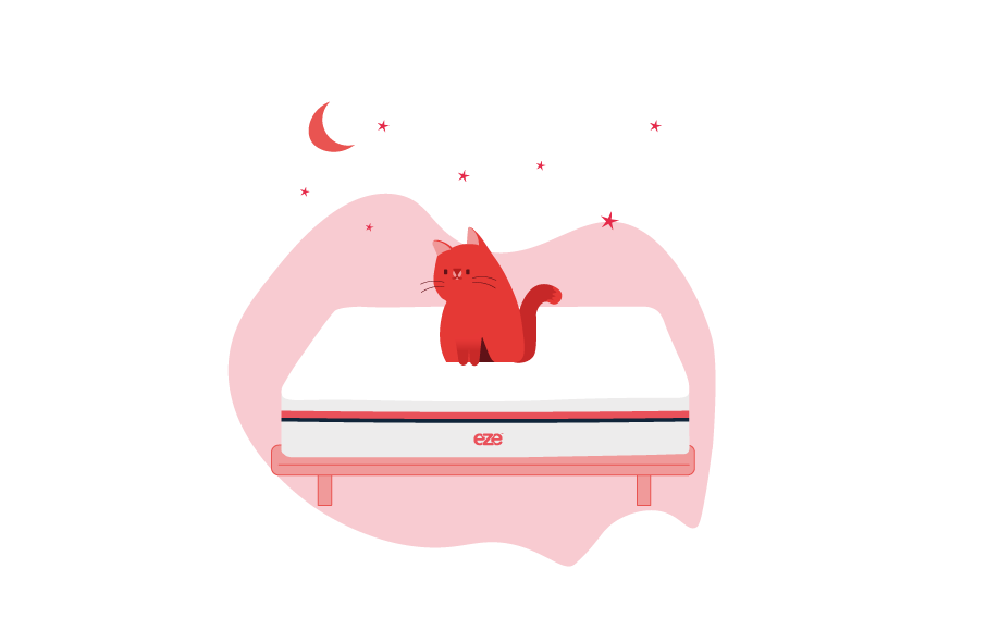our_story_cat_on_mattress_animated_graphic