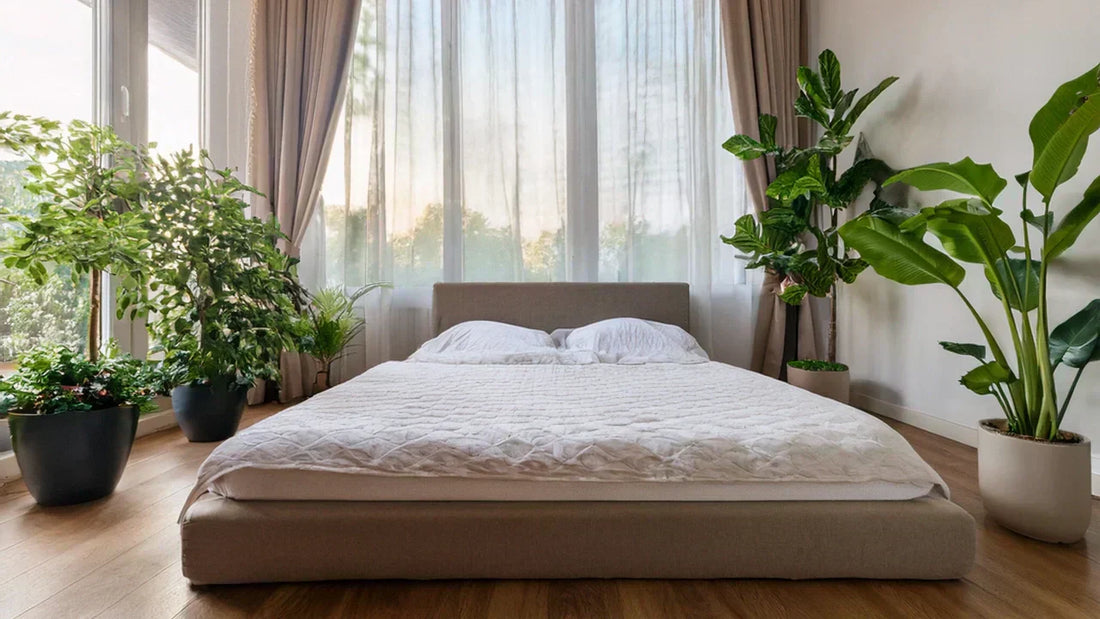 bedroom with mattress and bed on the floor surrounded by plants