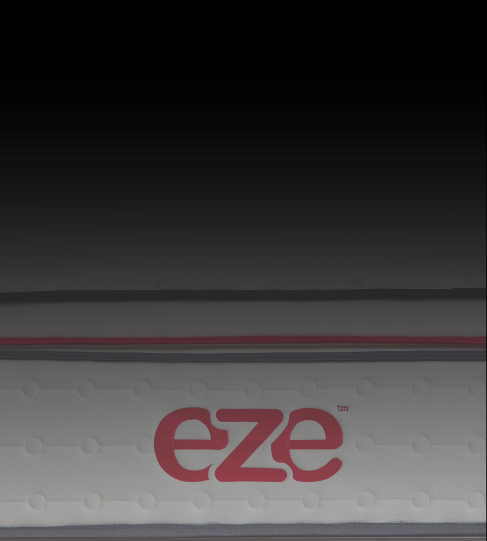eze_hybrid_max_homepage_tech_image